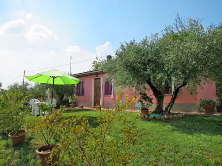 Podere Conte Francesco-Carla, Maison 4 personnes à Certaldo - Photo 25