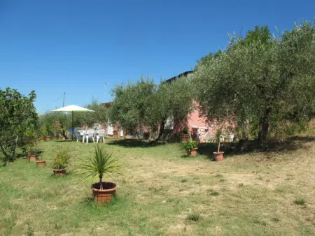Podere Conte Francesco-Carla, Maison 4 personnes à Certaldo - Photo 31
