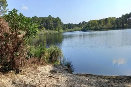 Villas Club Royal Aquitaine 3, Villa avec piscine privée près de la forêt - Photo 17