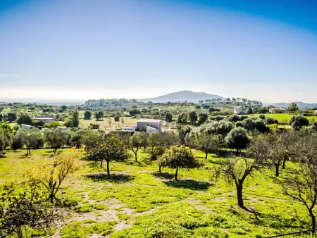 Es Cos, Maison 8 personnes à Moscari - Photo 36