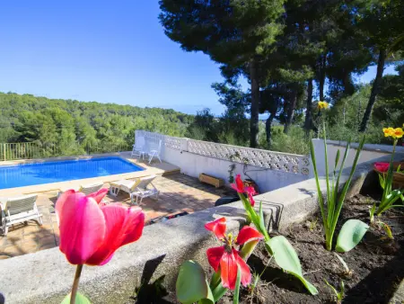 Amarilla, Maison 6 personnes à Benissa - Photo 18