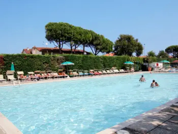 Huisje in Lido di Dante,Chalet Mediterraneo IT4382.604.6 N°668733