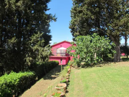 Podere Conte Francesco-Alvino, Maison 6 personnes à Certaldo - Photo 31