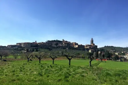 Il giardino, Ferme en Toscane avec Piscine Panoramique - Photo 25