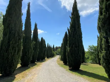 Orso, Maison 5 personnes à Riparbella - Photo 31