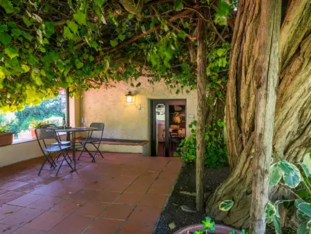 Bardeggiano - Caterina 5, Maison 2 personnes à Colle Val d'Elsa - Photo 22