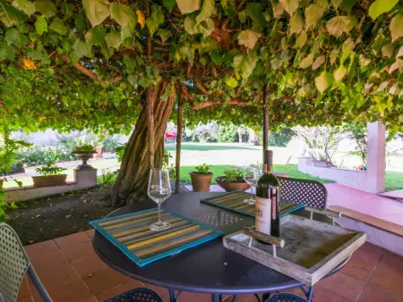 Bardeggiano - Caterina 5, Maison 2 personnes à Colle Val d'Elsa - Photo 24