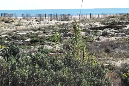 Résidence Copacabana, 2 PiÃ¨ces pour 6 Personnes - Photo 21