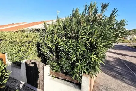 Résidence Maisons De La Plage, Maisons & Villas pour 6 Personnes - Photo 6