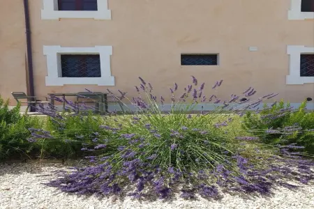 Gelsomino, Manoir à Marche proche plages Adriatiques - Photo 14