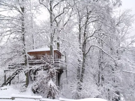 Cabane perchée avec terrasse, sauna et BBQ à Ferdrupt - Photo 1