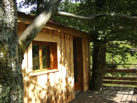 Cabane perchée avec terrasse, sauna et BBQ à Ferdrupt - Photo 2