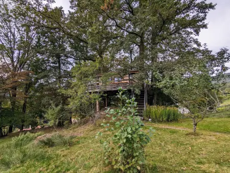 Cabane perchée avec terrasse, sauna et BBQ à Ferdrupt - Photo 8