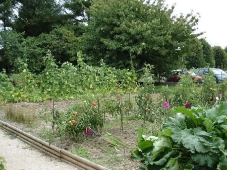 Gîte calme près de Meung-sur-Loire avec jardin et terrasse - Photo 26