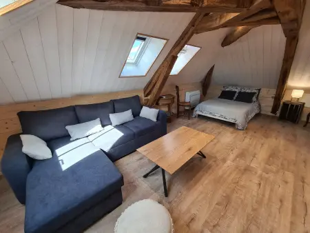 Grand Gîte à Briare - Animaux et Parking Privé - Photo 23