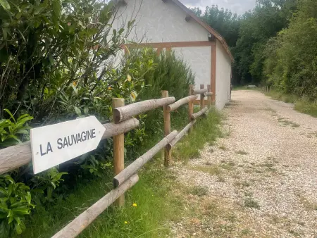 Gîte cosy en Sologne, nature et pêche, tout inclus - Photo 15