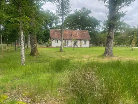Gîte cosy en Sologne, nature et pêche, tout inclus - Photo 19