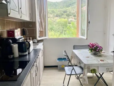Appartement F3 à Amélie-les-Bains avec Wifi et climatisation portative pour 4 personnes - Photo 2