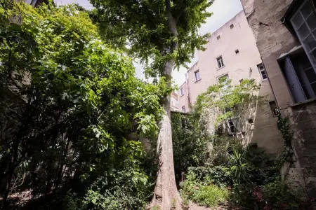 Appartements à Montpellier, Les jardins de l'Ã©cusson - PremiÃ¨re conciergerie - Photo 16
