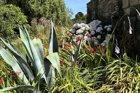Maison à Plougrescant, Douarenn Braz Â· Douarenn Braz a haven of peace - Photo 25