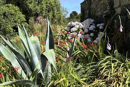Maison à Plougrescant, Douarenn Braz Â· Douarenn Braz a haven of peace - Photo 63