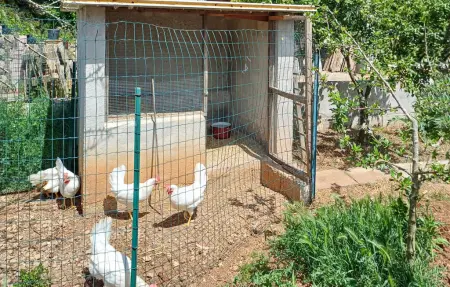 Maison 4 personnes à Santa Cesarea Terme - Photo 25