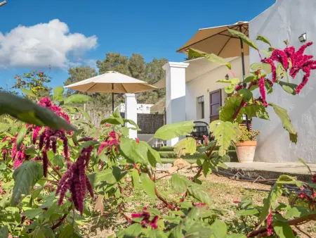 Can Verdal, Maison 4 personnes à Sant Miquel de Balasant - Photo 32