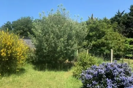 Résidence 620-pleneuf Val Andre, Sיjournez א la Rיsidence Plיneuf-Val-Andrי - Photo 3