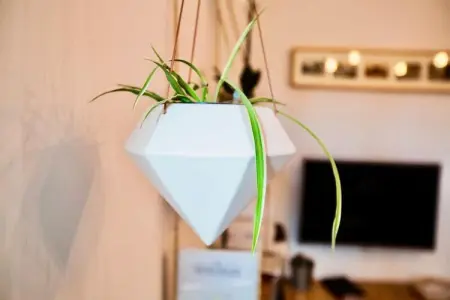 Les Toits De L'argenterie, Les Toits des Appartements Argenterie - Photo 32