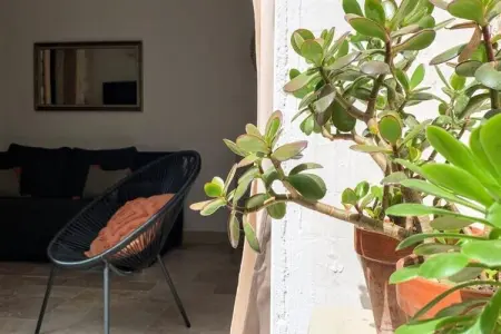La Terrasse Bazille, Les appartements Bazille Terrasse - Photo 49