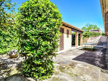 Can Joan, Villa 10 personnes à Lloseta - Photo 52