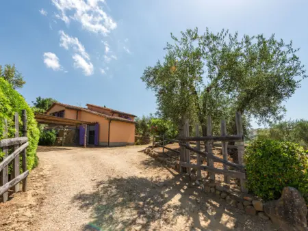 Bardi I, Maison 4 personnes à Scansano - Photo 25