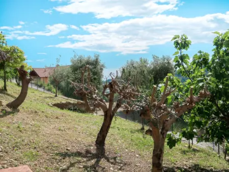 Ludovica, Maison 6 personnes à Soldano - Photo 16