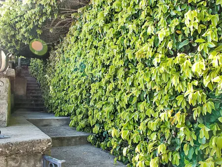 Cas'Anita, Maison 6 personnes à Castagnola - Photo 26