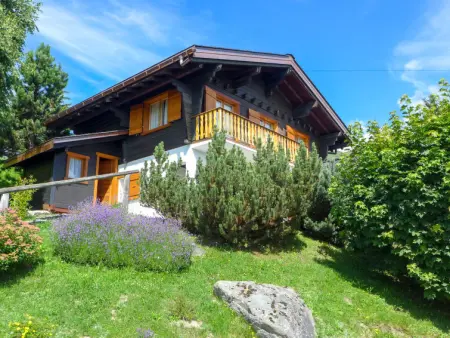 Chalet in Verbier,Biquinou CH1935.124.1 N°509587