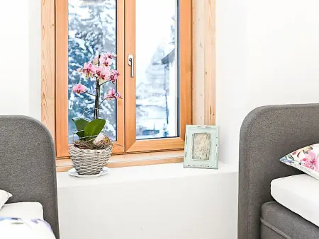 von Capeller, Maison 10 personnes à Lenzerheide - Photo 12