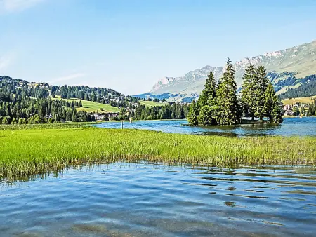 von Capeller, Maison 10 personnes à Lenzerheide - Photo 33
