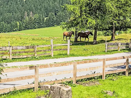 von Capeller, Maison 10 personnes à Lenzerheide - Photo 34