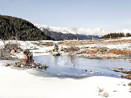 von Capeller, Maison 10 personnes à Lenzerheide - Photo 42