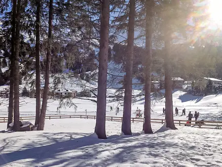 von Capeller, Maison 10 personnes à Lenzerheide - Photo 43
