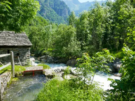 Rustico dell'Orino, Maison 6 personnes à Malvaglia - Photo 25