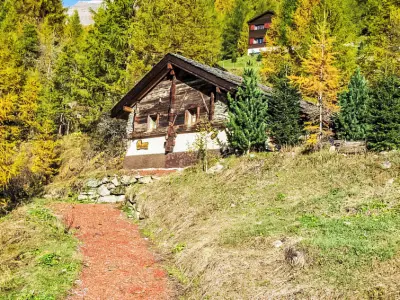 Chalet à Zinal, Epilobes - N°564922