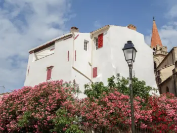 Maison à La Cadière d'Azur,La Cadièrienne FR8344.125.1 N°507533