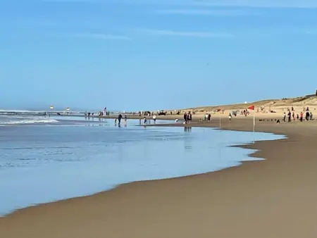 Le Hameau des Pêcheurs 1, Maison 4 personnes à Mimizan - Photo 25