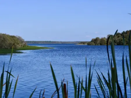 Le Hameau des Pêcheurs 1, Maison 4 personnes à Mimizan - Photo 37