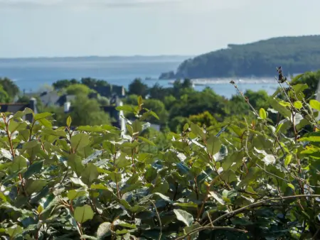 TY Greg, Maison 4 personnes à Crozon Morgat - Photo 23