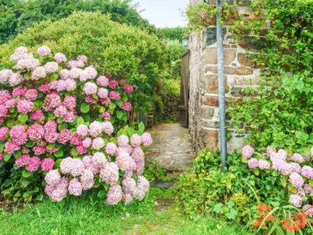 Ti Maen, Maison 4 personnes à Crozon Morgat - Photo 19