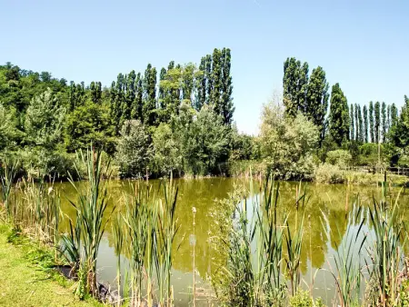 Il Cipresso, Villa 8 personnes à Montopoli in Valdarno - Photo 20