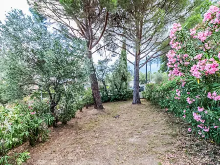 Maison People I, propriété avec beau terrain arboré  - Photo 14