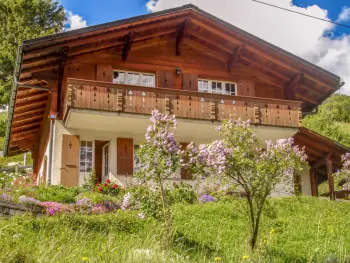 Haus in Grindelwald,Chalet Reinhysi CH3818.767.1 N°566086